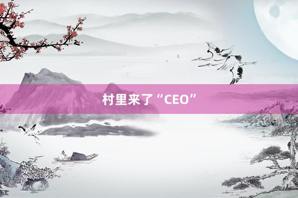 村里来了“CEO”