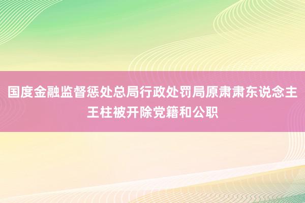 国度金融监督惩处总局行政处罚局原肃肃东说念主王柱被开除党籍和公职