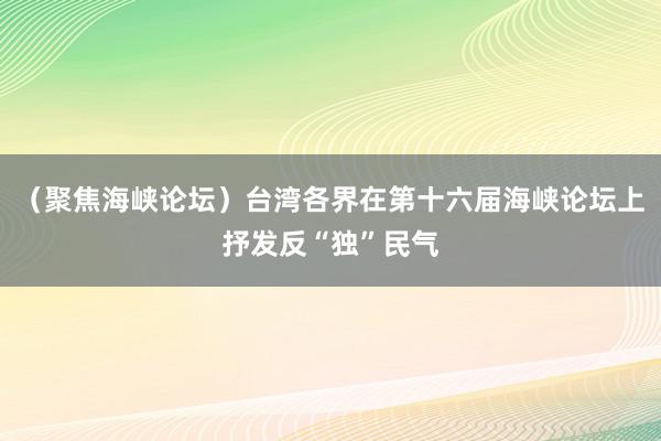 （聚焦海峡论坛）台湾各界在第十六届海峡论坛上抒发反“独”民气