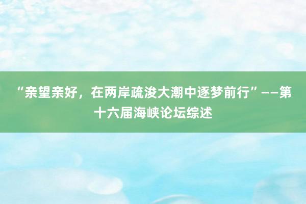 “亲望亲好，在两岸疏浚大潮中逐梦前行”——第十六届海峡论坛综述