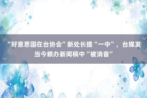 “好意思国在台协会”新处长提“一中”，台媒发当今赖办新闻稿中“被消音”