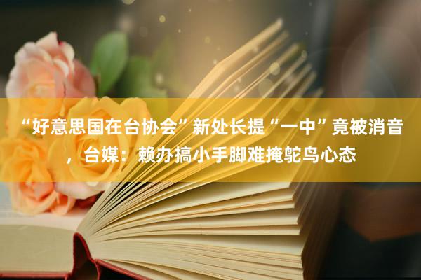 “好意思国在台协会”新处长提“一中”竟被消音，台媒：赖办搞小手脚难掩鸵鸟心态