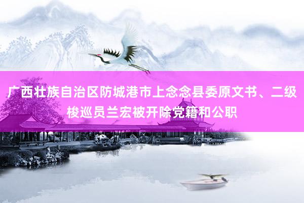 广西壮族自治区防城港市上念念县委原文书、二级梭巡员兰宏被开除党籍和公职